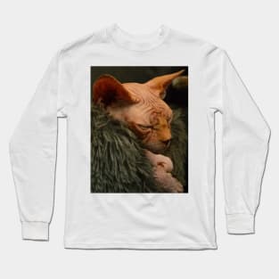 Sleeping cat Long Sleeve T-Shirt